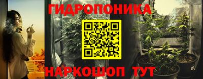 стаф Партизанск