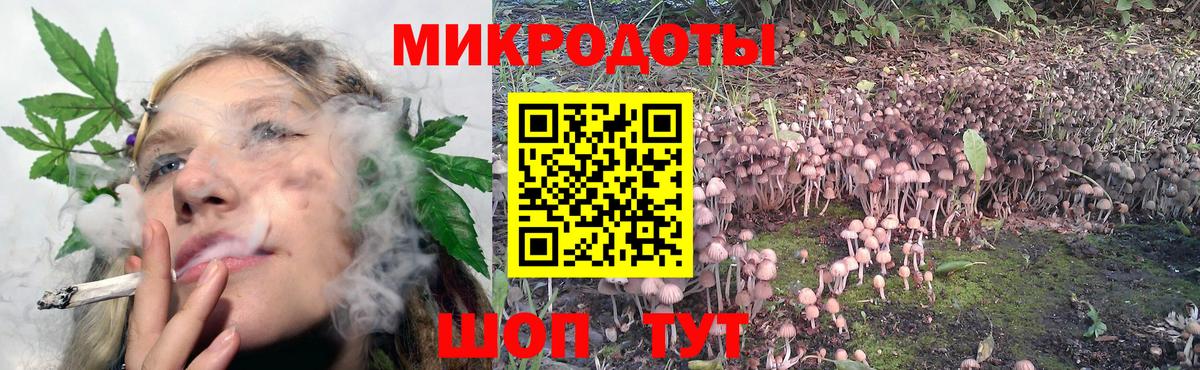 Галлюциногенные грибы Magic Shrooms Татарск