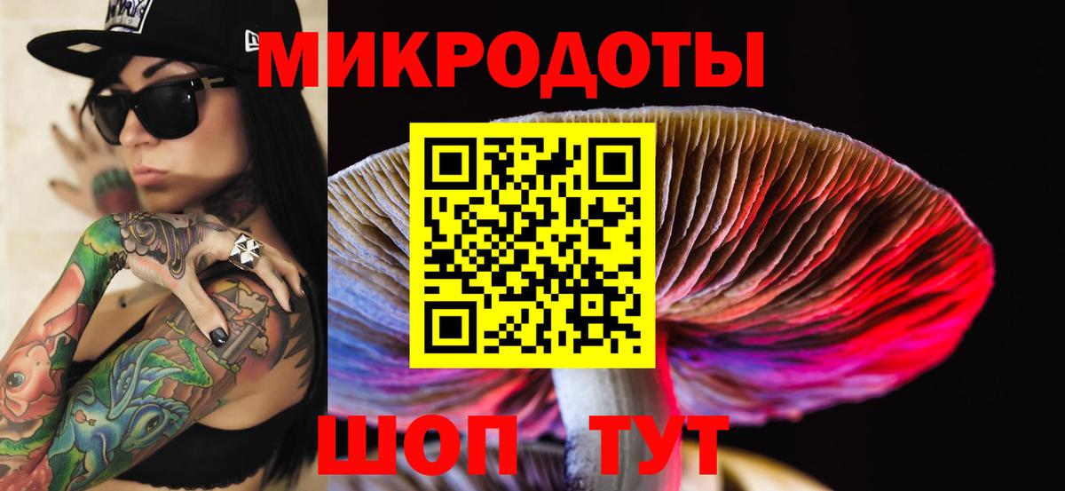 Галлюциногенные грибы Psilocybe  Галлюциногенные грибы прущие грибы  Вход с VPN  Татарск 