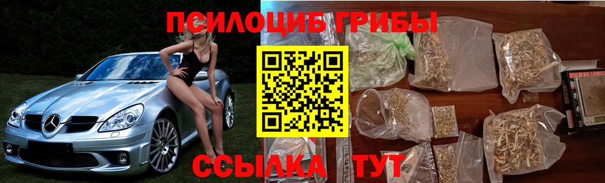 Галлюциногенные грибы Psilocybine cubensis  Татарск 